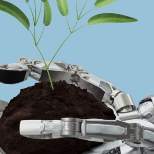 Nayeen.info-Artificial-Intelligence-agri