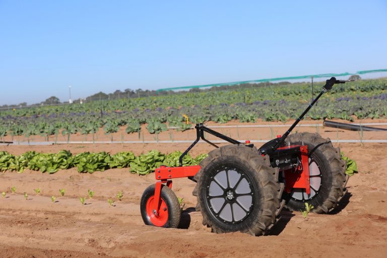 Robot looking for weeds smart farming 2- nayeen.info
