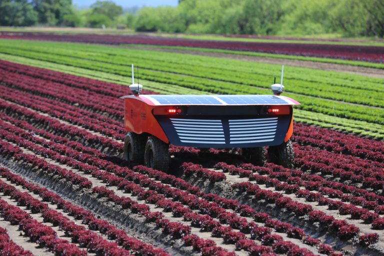 Agriculture Robot looking for weeds smart farming - nayeen.info