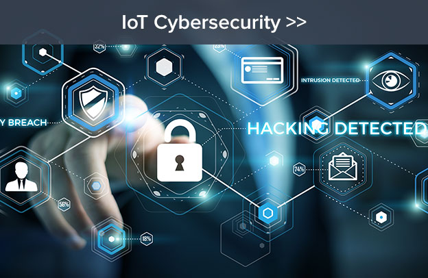 Nayeen al amin- IoT Cyber security